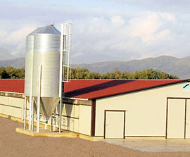 Poultry House