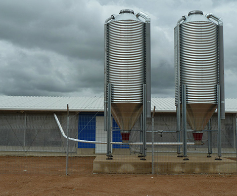 Vietnam Steel Structure Poultry House 132x14x2.4M