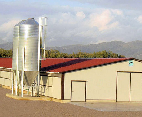 Panama 10 Sets Broiler House 150x16x3M